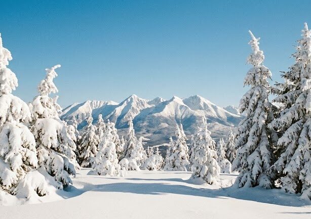 Szeroka panorama ośnieżonych Tatr Wysokich