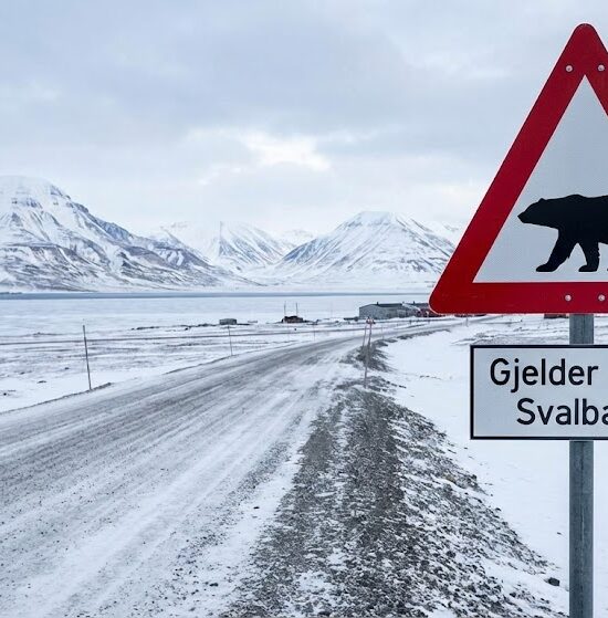 Zdjęcie słynnego trójkątnego znaku drogowego ze Svalbardu