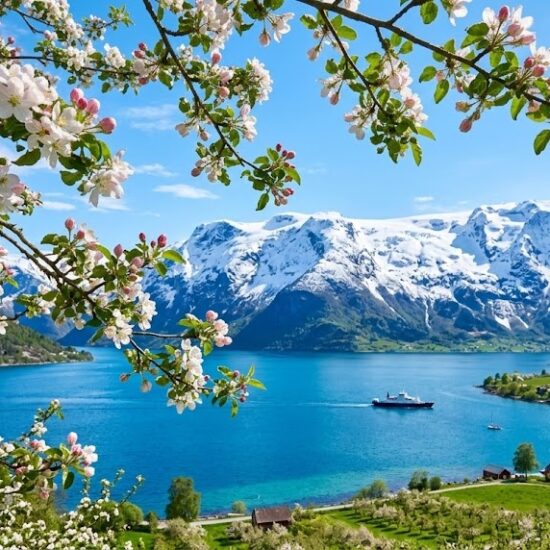 Słynny, niemal nierealny wiosenny kadr z rejonu Hardangerfjord.