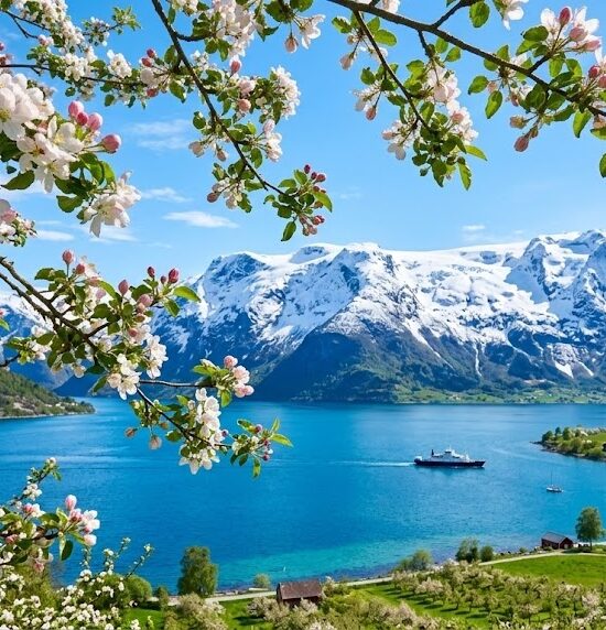 Słynny, niemal nierealny wiosenny kadr z rejonu Hardangerfjord.
