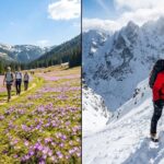 Wiosenny kadr podzielony na dwie części pokazujący górskie kontrasty